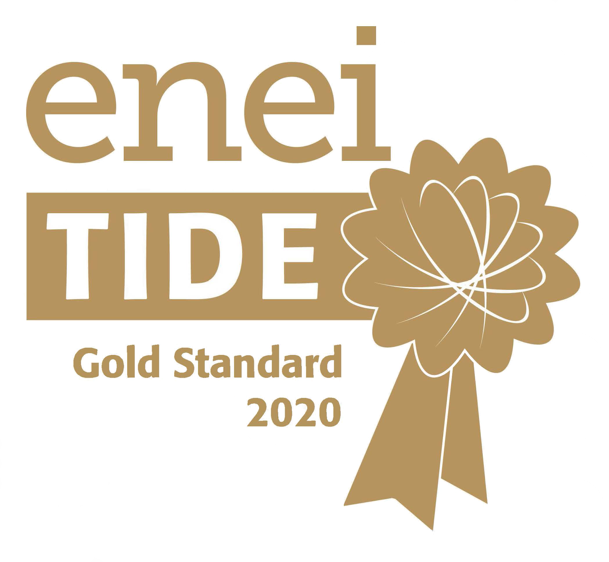 ENEI Gold TIDE standard logo