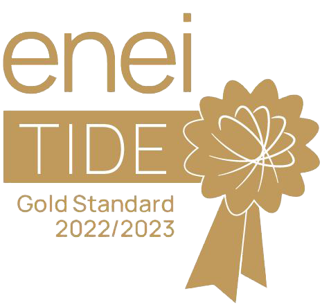 enei Gold Tide badge